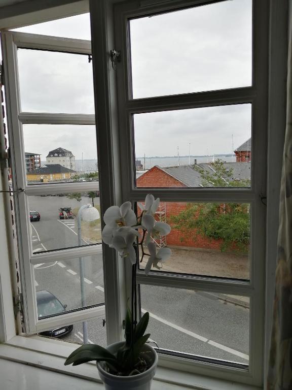 Det Gamle Hotel Rudkøbing Extérieur photo